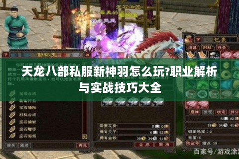 天龙八部私服新神羽怎么玩?职业解析与实战技巧大全