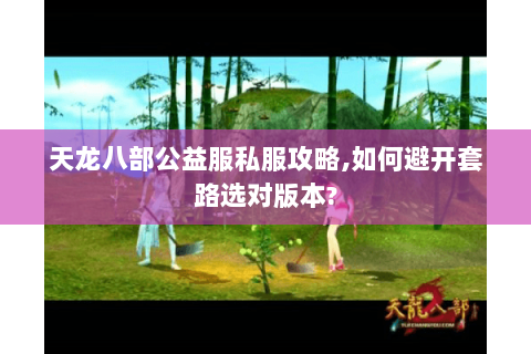 天龙八部公益服私服攻略,如何避开套路选对版本? 天龙八部公益服私服攻略,如何避开套路选对版本?