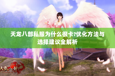 天龙八部私服为什么很卡?优化方法与选择建议全解析 天龙八部私服为什么很卡?优化方法与选择建议全解析