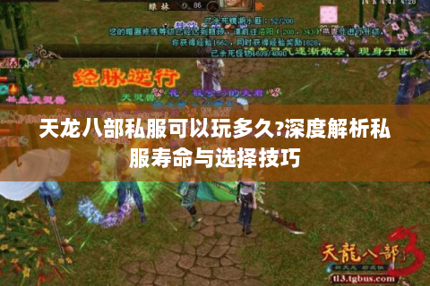 天龙八部私服可以玩多久?深度解析私服寿命与选择技巧