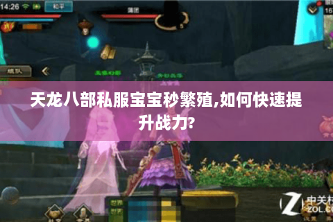 天龙八部私服宝宝秒繁殖,如何快速提升战力? 天龙八部私服宝宝秒繁殖,如何快速提升战力?