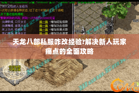 天龙八部私服咋改经验?解决新人玩家痛点的全面攻略 天龙八部私服咋改经验?解决新人玩家痛点的全面攻略