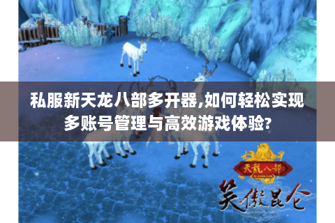 私服新天龙八部多开器,如何轻松实现多账号管理与高效游戏体验? 私服新天龙八部多开器,如何轻松实现多账号管理与高效游戏体验?