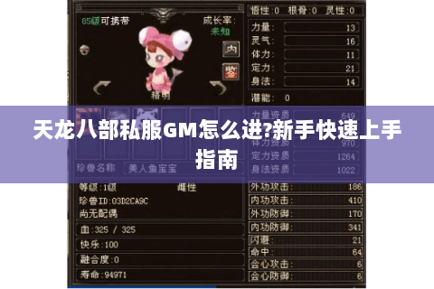 天龙八部私服GM怎么进?新手快速上手指南 天龙八部私服GM怎么进?新手快速上手指南