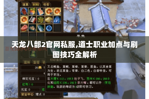 天龙八部2官网私服,道士职业加点与刷图技巧全解析