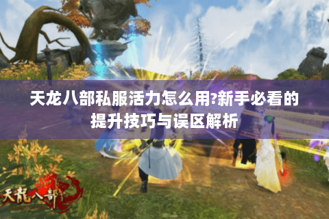 天龙八部私服活力怎么用?新手必看的提升技巧与误区解析