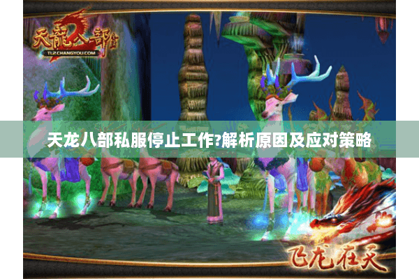 天龙八部私服停止工作?解析原因及应对策略