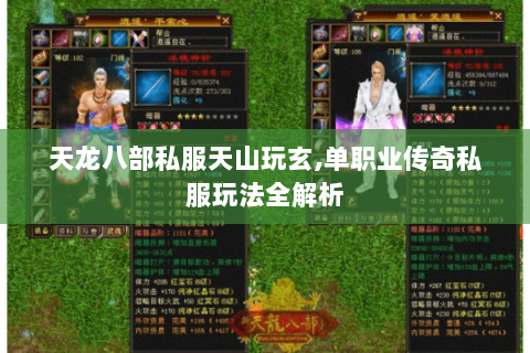 天龙八部私服天山玩玄,单职业传奇私服玩法全解析 天龙八部私服天山玩玄,单职业传奇私服玩法全解析
