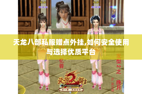 天龙八部私服赠点外挂,如何安全使用与选择优质平台 天龙八部私服赠点外挂,如何安全使用与选择优质平台