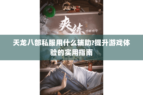 天龙八部私服用什么辅助?提升游戏体验的实用指南