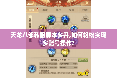 天龙八部私服脚本多开,如何轻松实现多账号操作?