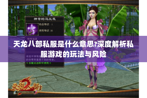 天龙八部私服是什么意思?深度解析私服游戏的玩法与风险