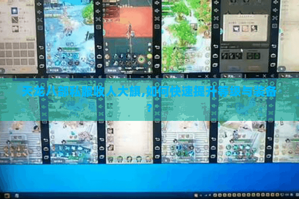 天龙八部私服收人大旗,如何快速提升等级与装备? 天龙八部私服收人大旗,如何快速提升等级与装备?