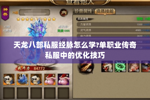 天龙八部私服经脉怎么学?单职业传奇私服中的优化技巧