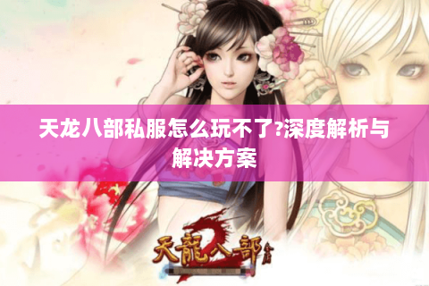 天龙八部私服怎么玩不了?深度解析与解决方案