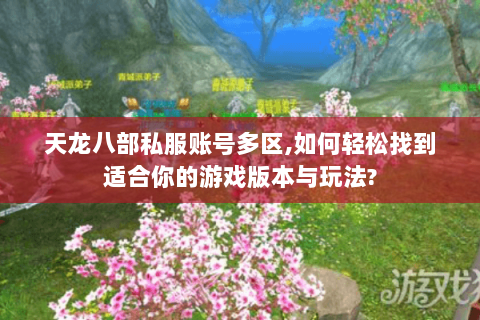 天龙八部私服账号多区,如何轻松找到适合你的游戏版本与玩法?