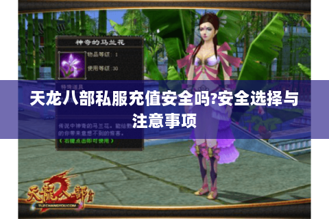 天龙八部私服充值安全吗?安全选择与注意事项
