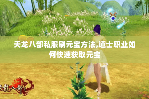 天龙八部私服刷元宝方法,道士职业如何快速获取元宝 天龙八部私服刷元宝方法,道士职业如何快速获取元宝