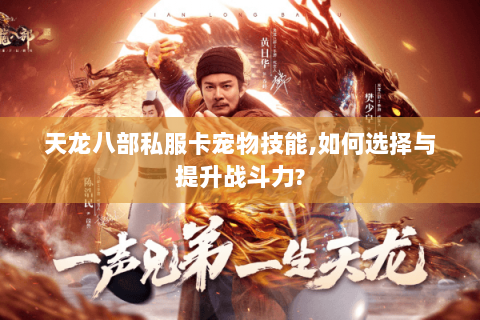 天龙八部私服卡宠物技能,如何选择与提升战斗力?
