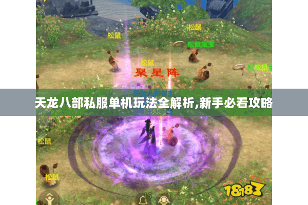 天龙八部私服单机玩法全解析,新手必看攻略 天龙八部私服单机玩法全解析,新手必看攻略
