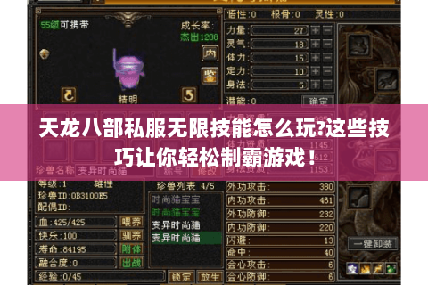 天龙八部私服无限技能怎么玩?这些技巧让你轻松制霸游戏！