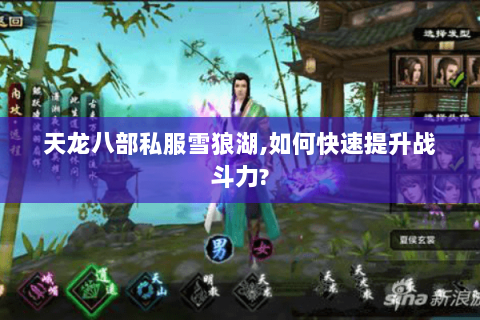 天龙八部私服雪狼湖,如何快速提升战斗力?