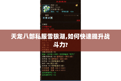 天龙八部私服雪狼湖,如何快速提升战斗力? 天龙八部私服雪狼湖,如何快速提升战斗力?