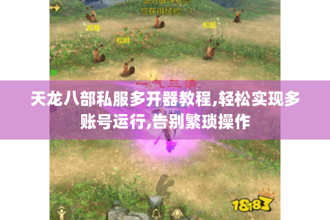 天龙八部私服多开器教程,轻松实现多账号运行,告别繁琐操作