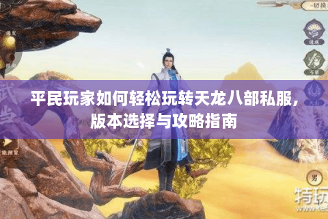 平民玩家如何轻松玩转天龙八部私服,版本选择与攻略指南