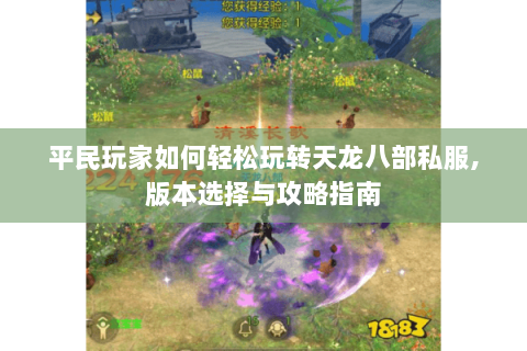 平民玩家如何轻松玩转天龙八部私服,版本选择与攻略指南