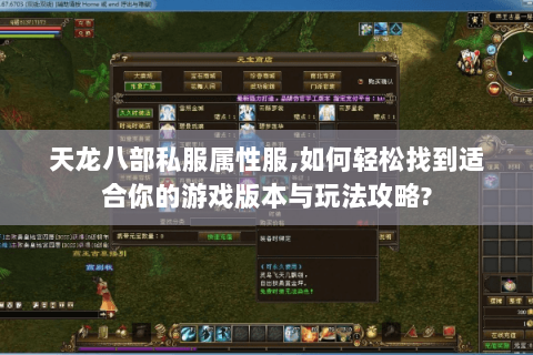 天龙八部私服属性服,如何轻松找到适合你的游戏版本与玩法攻略?