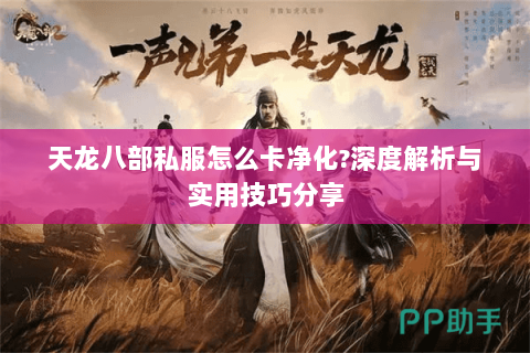 天龙八部私服怎么卡净化?深度解析与实用技巧分享 天龙八部私服怎么卡净化?深度解析与实用技巧分享