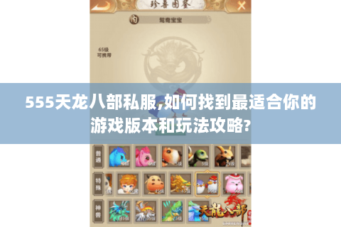 555天龙八部私服,如何找到最适合你的游戏版本和玩法攻略?