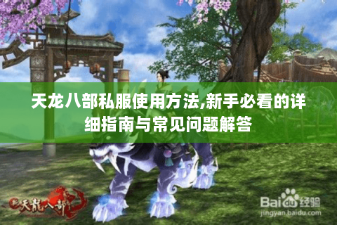 天龙八部私服使用方法,新手必看的详细指南与常见问题解答
