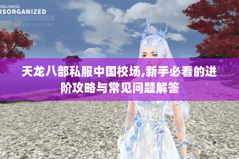 天龙八部私服中国校场,新手必看的进阶攻略与常见问题解答 天龙八部私服中国校场,新手必看的进阶攻略与常见问题解答