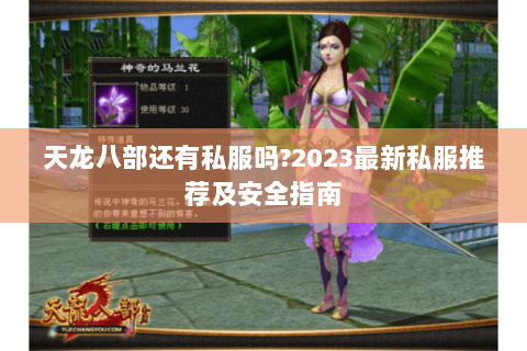 天龙八部还有私服吗?2023最新私服推荐及安全指南