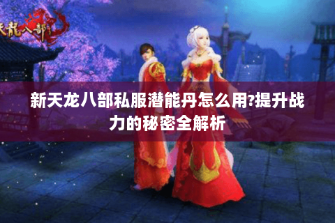 新天龙八部私服潜能丹怎么用?提升战力的秘密全解析