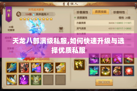 天龙八部满级私服,如何快速升级与选择优质私服 天龙八部满级私服,如何快速升级与选择优质私服