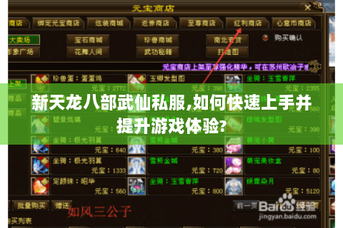 新天龙八部武仙私服,如何快速上手并提升游戏体验?