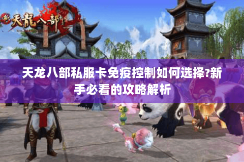 天龙八部私服卡免疫控制如何选择?新手必看的攻略解析 天龙八部私服卡免疫控制如何选择?新手必看的攻略解析