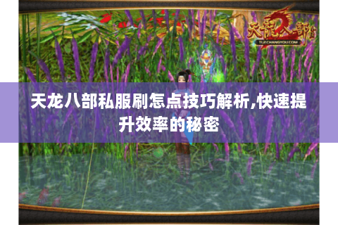天龙八部私服刷怎点技巧解析,快速提升效率的秘密
