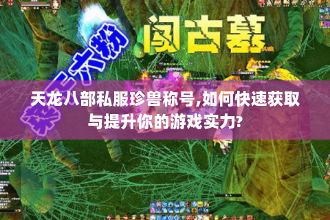 天龙八部私服珍兽称号,如何快速获取与提升你的游戏实力?