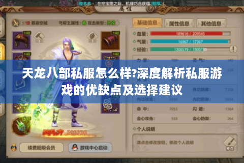 天龙八部私服怎么样?深度解析私服游戏的优缺点及选择建议