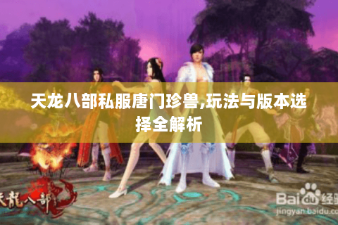 天龙八部私服唐门珍兽,玩法与版本选择全解析 天龙八部私服唐门珍兽,玩法与版本选择全解析