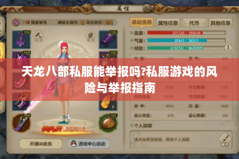 天龙八部私服能举报吗?私服游戏的风险与举报指南