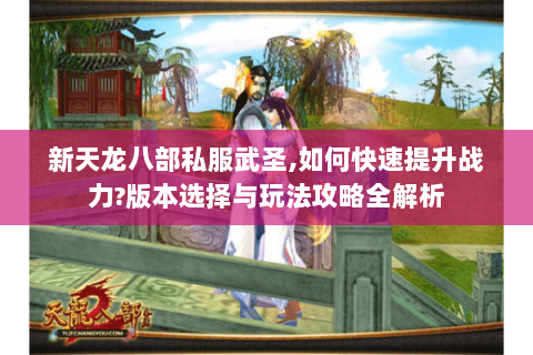 新天龙八部私服武圣,如何快速提升战力?版本选择与玩法攻略全解析 新天龙八部私服武圣,如何快速提升战力?版本选择与玩法攻略全解析