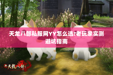 天龙八部私服网YY怎么选?老玩家实测避坑指南 天龙八部私服网YY怎么选?老玩家实测避坑指南