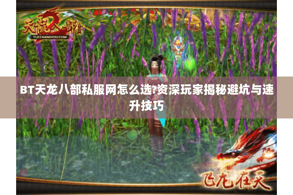 BT天龙八部私服网怎么选?资深玩家揭秘避坑与速升技巧 BT天龙八部私服网怎么选?资深玩家揭秘避坑与速升技巧