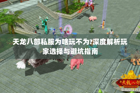天龙八部私服为啥玩不为?深度解析玩家选择与避坑指南