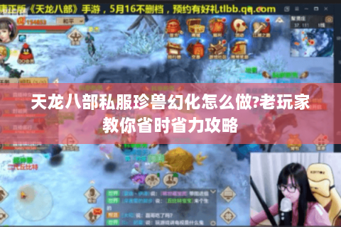 天龙八部私服珍兽幻化怎么做?老玩家教你省时省力攻略 天龙八部私服珍兽幻化怎么做?老玩家教你省时省力攻略